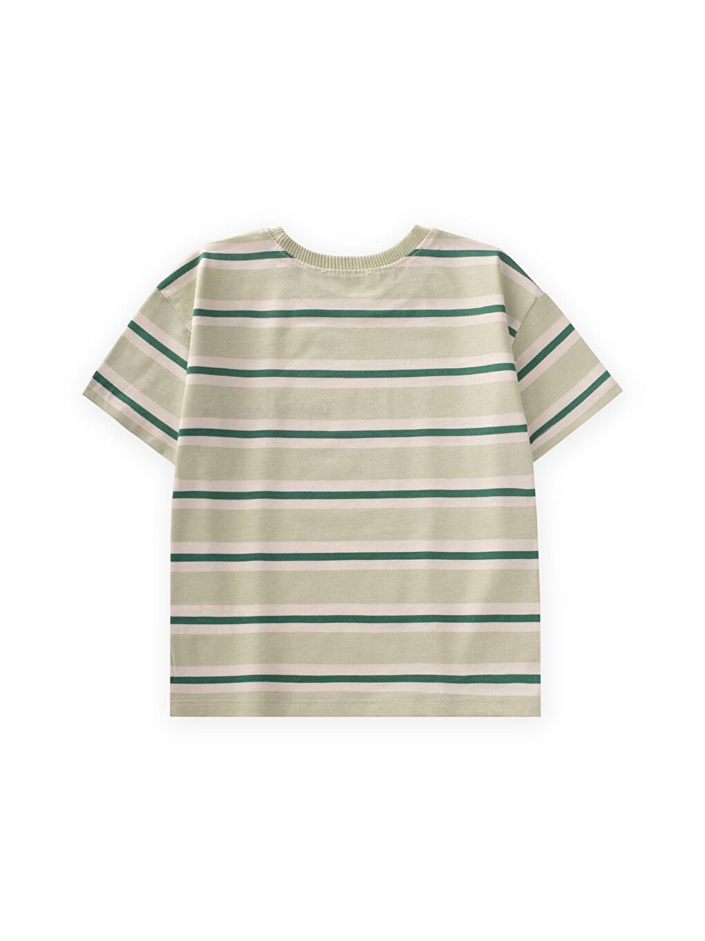 Yeşil Geniş Çizgili Nakışlı T-Shırt 2-10 Yaş Mint Haki Çizgili-1