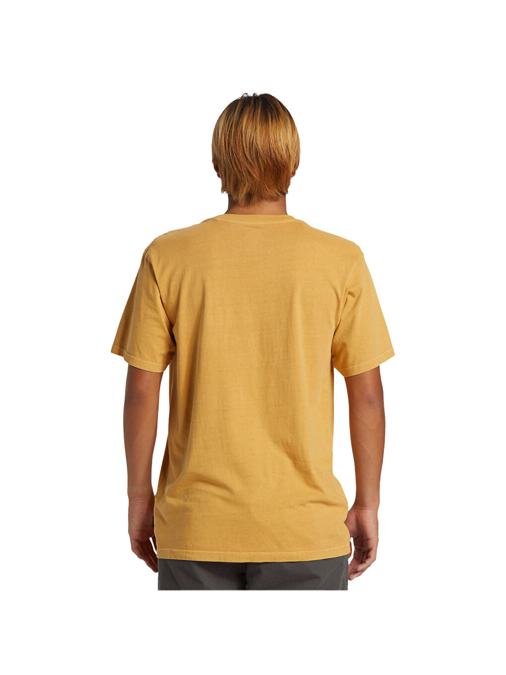 Salt Water Pkt Swp Erkek Sarı Tişört-4