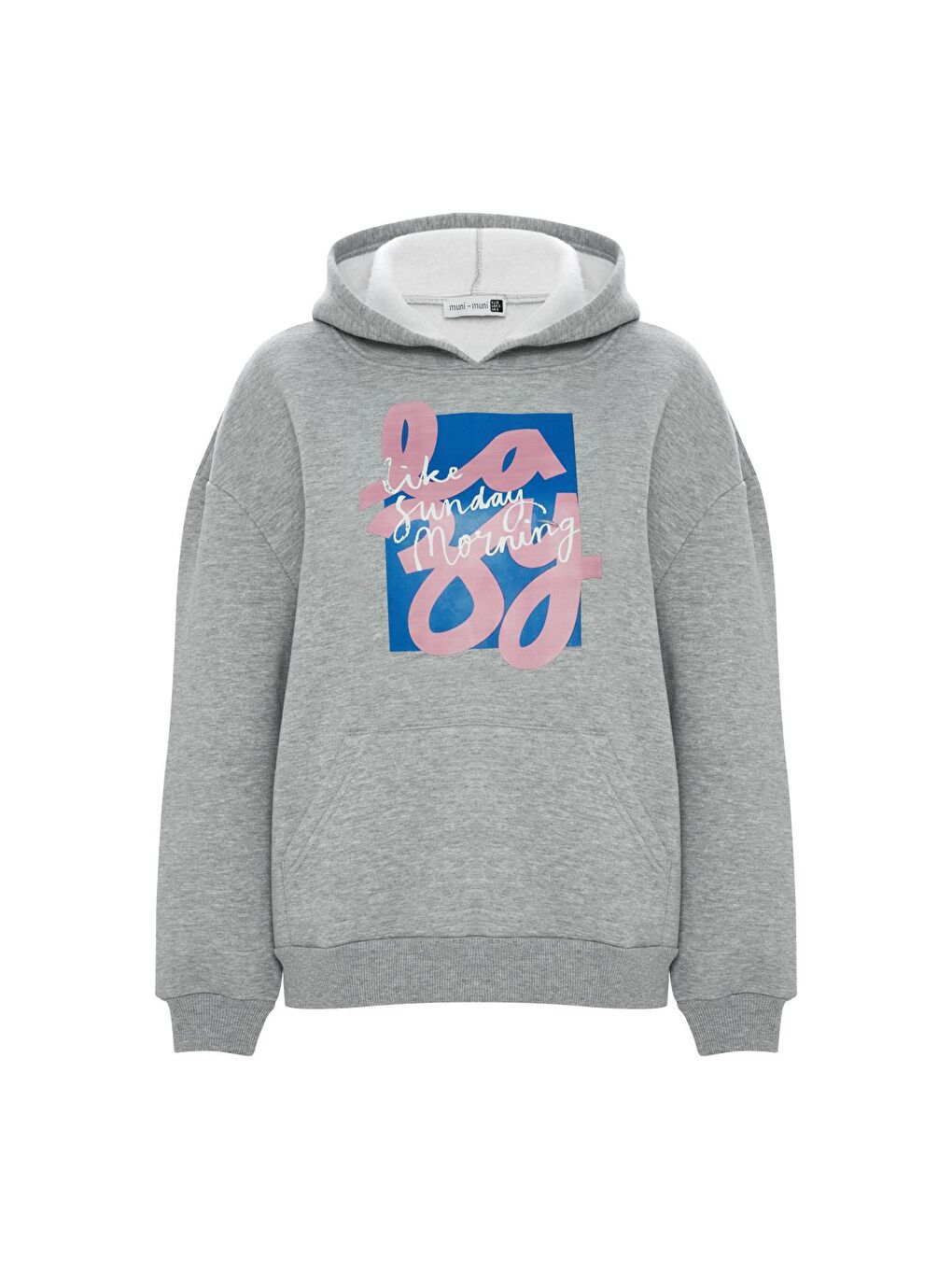 Baskılı Düz Renk Sweatshirt -Gri