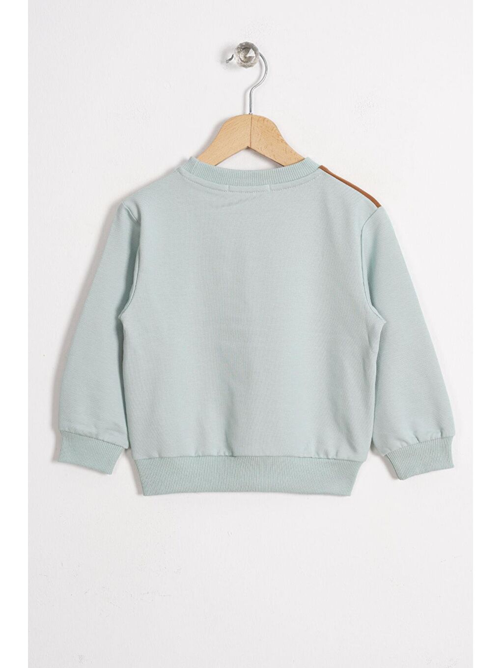 Yeşil Tilki ve Ayı Figürlü Bisiklet Yaka Mint Renk Erkek Çocuk Sweatshirt-2