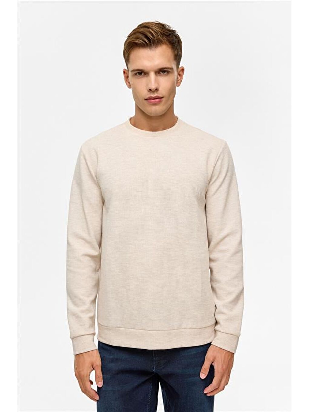 Bej Regular Düz Bisiklet Yaka Sweatshirt