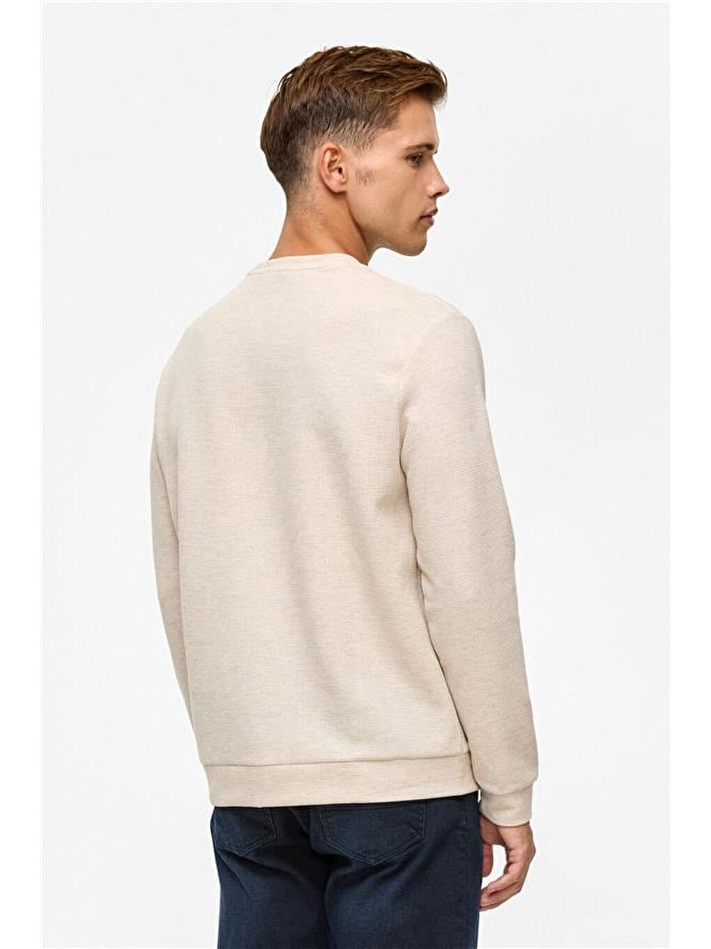 Bej Regular Düz Bisiklet Yaka Sweatshirt-3