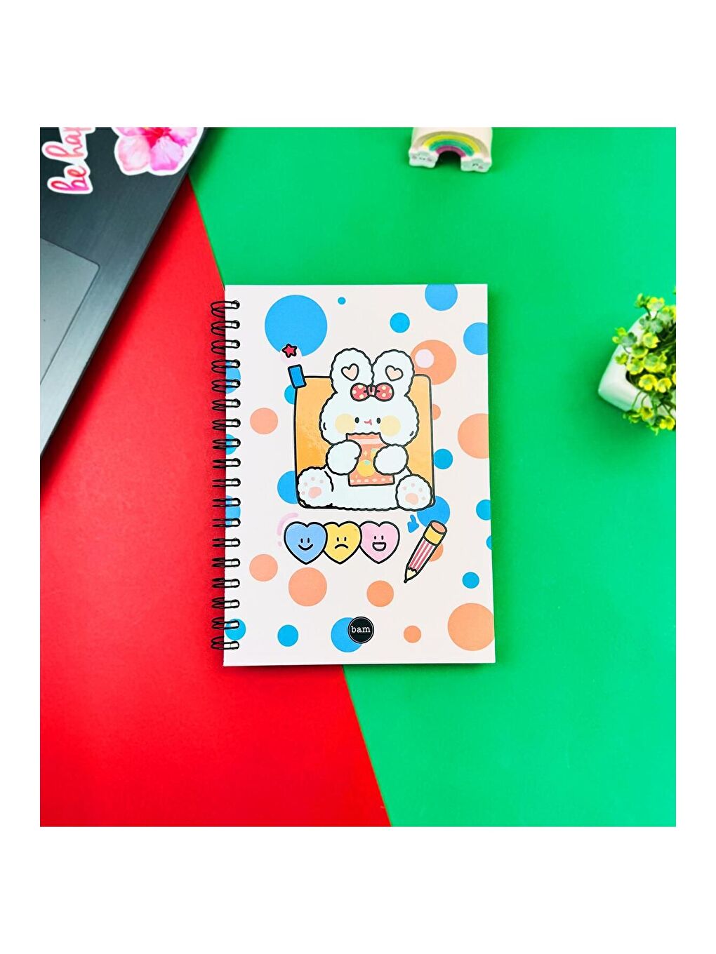 BAM HEDİYELİK EŞYA Karışık Pen Rabbit Tasarımlı Spiralli Defter