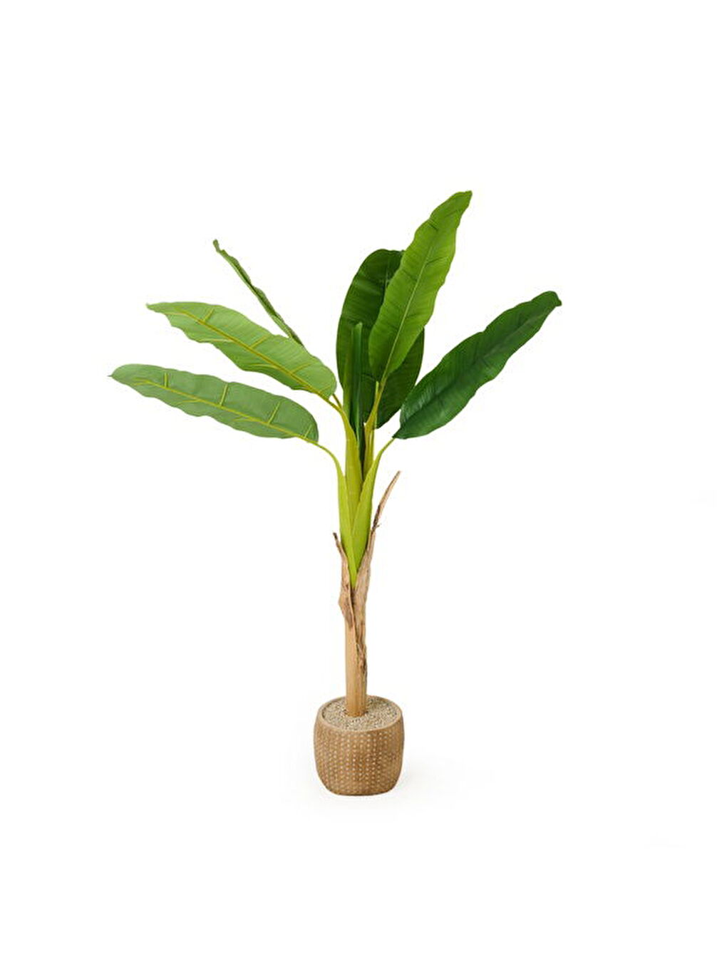 Karışık Hasır Efekt Saksıda Muz Ağacı - Renkli - 130 cm
