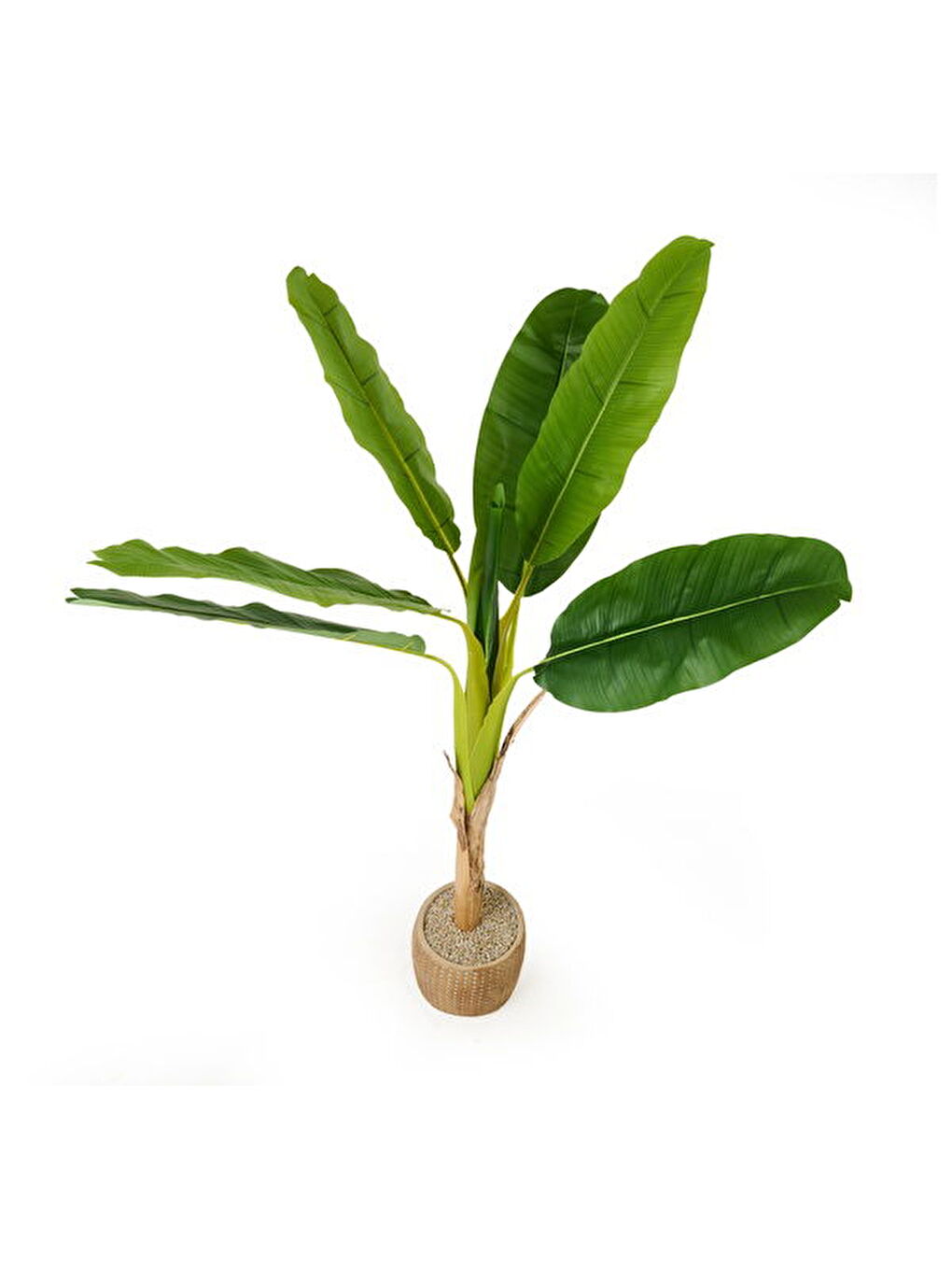 Karışık Hasır Efekt Saksıda Muz Ağacı - Renkli - 130 cm-1