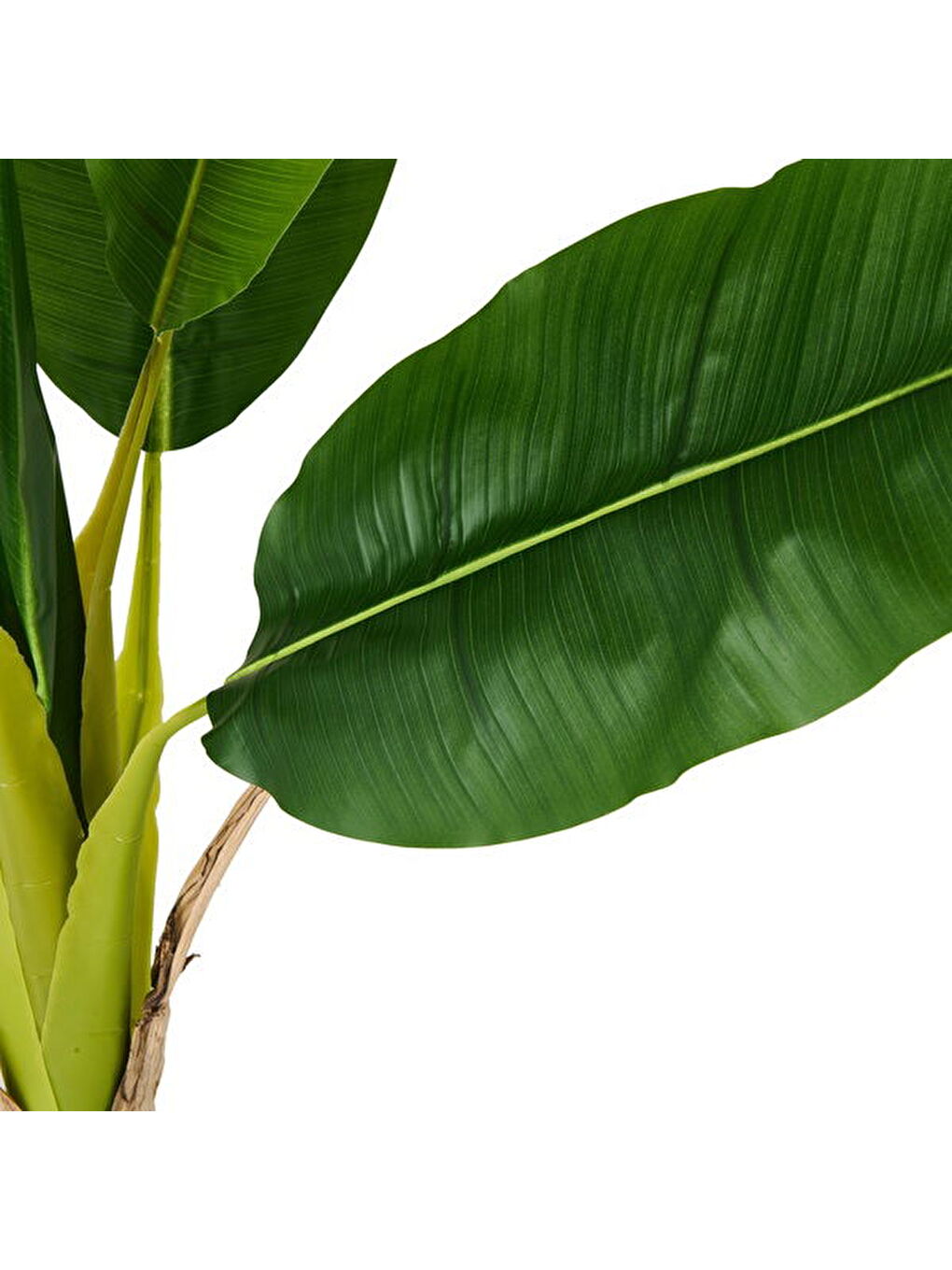 Karışık Hasır Efekt Saksıda Muz Ağacı - Renkli - 130 cm-2
