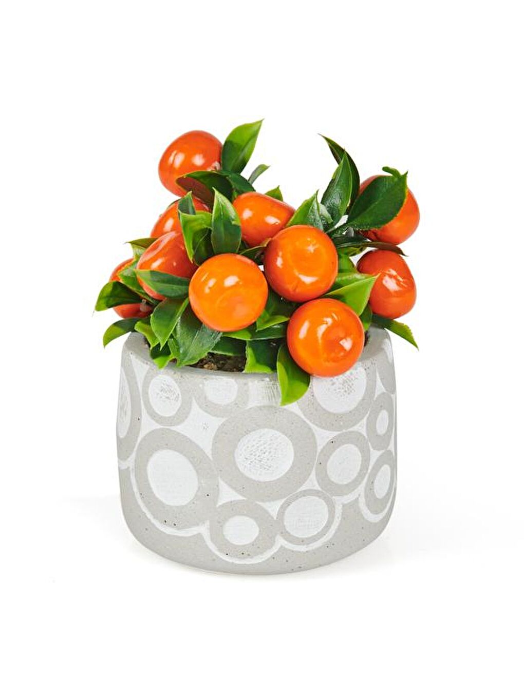 Turuncu Saksıda Yapay Mandalina