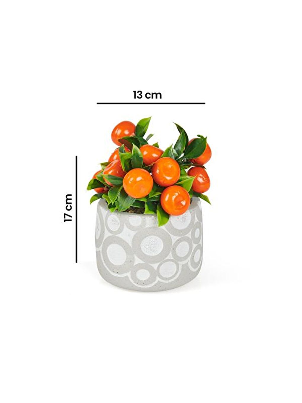 Turuncu Saksıda Yapay Mandalina-3