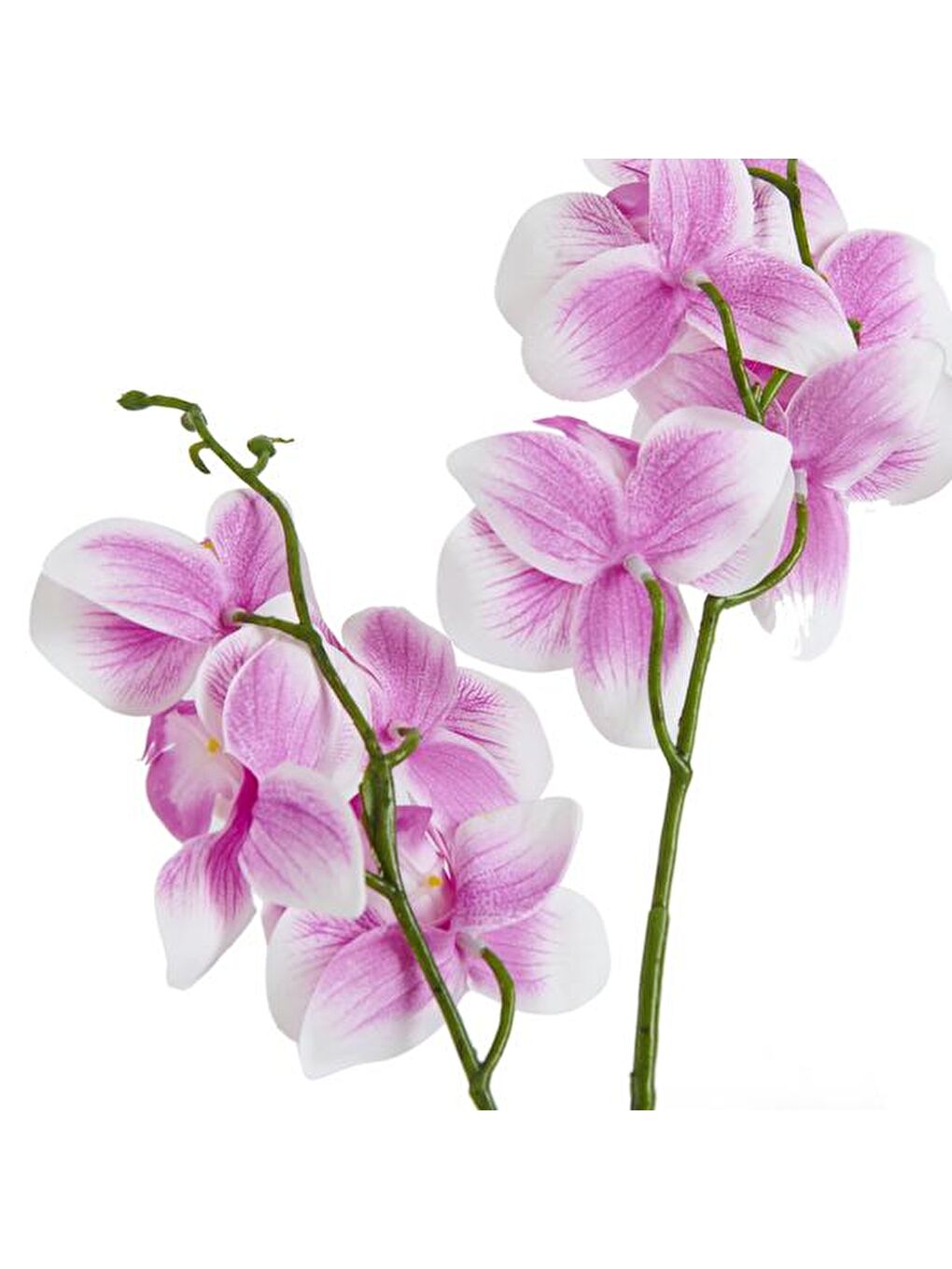 Beton Saksıda Real Touch Orkide - Pembe - 12x35 cm-1