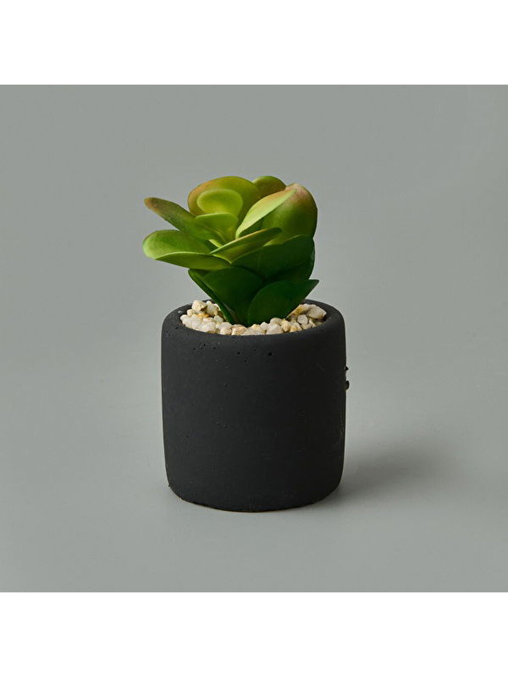 Mini Pot Sukulent - Siyah - 8x6x6 cm