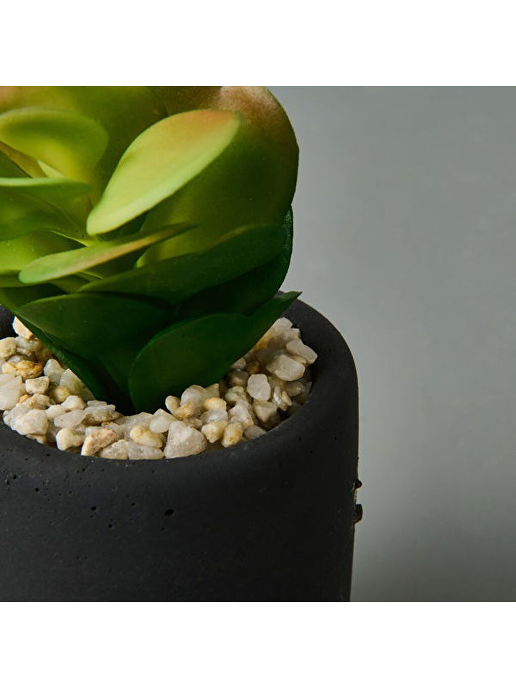 Mini Pot Sukulent - Siyah - 8x6x6 cm-2