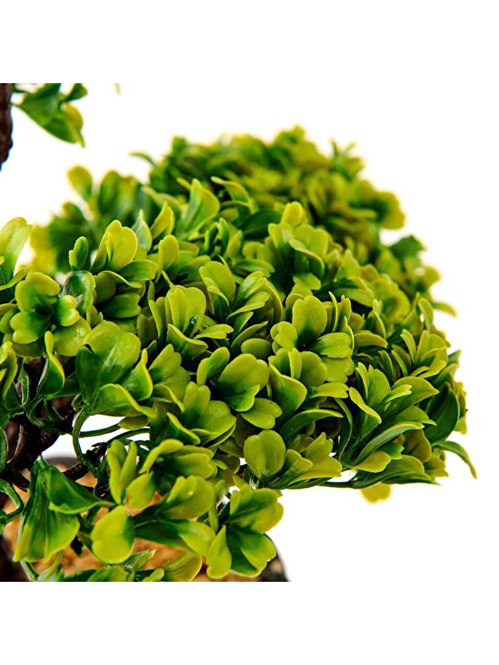 Dekoratif Saksılı Bonsai Meri Yapay Çiçek - Siyah / Yeşil - 20x20x36 cm-2