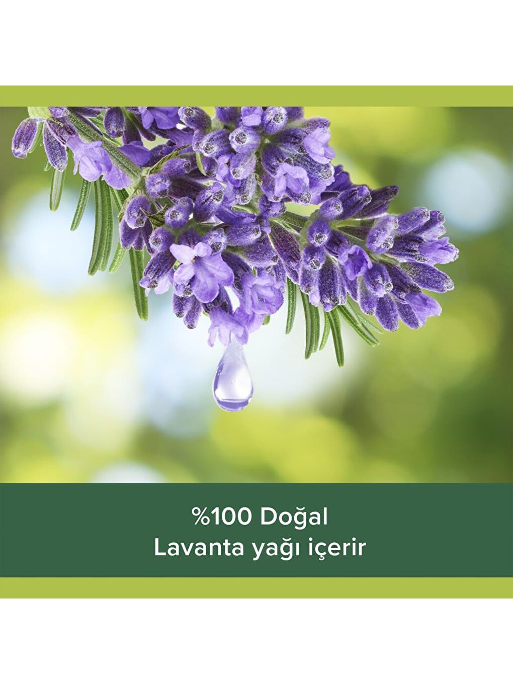 Palmolive Mor Aroma Sensations So Relaxed Aromatik Banyo ve Duş Jeli 500 ml x 2 Adet + Duş Lifi Hediye - 5