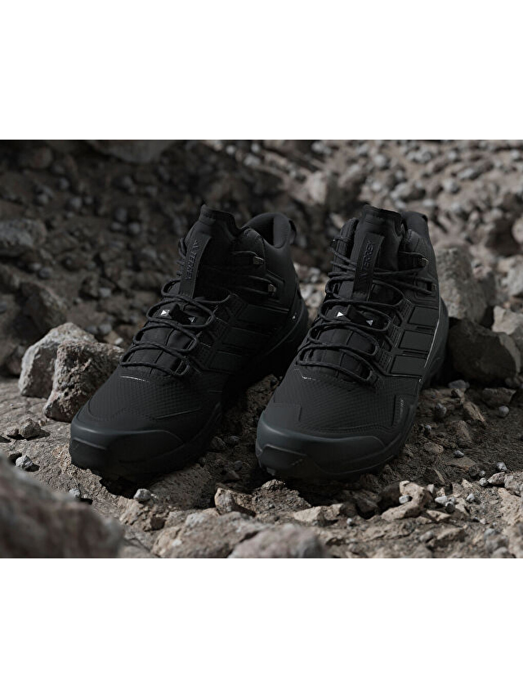 Terrex Skychaser Mid Gtx Erkek Outdoor Ayakkabısı Ih1091 Siyah-2