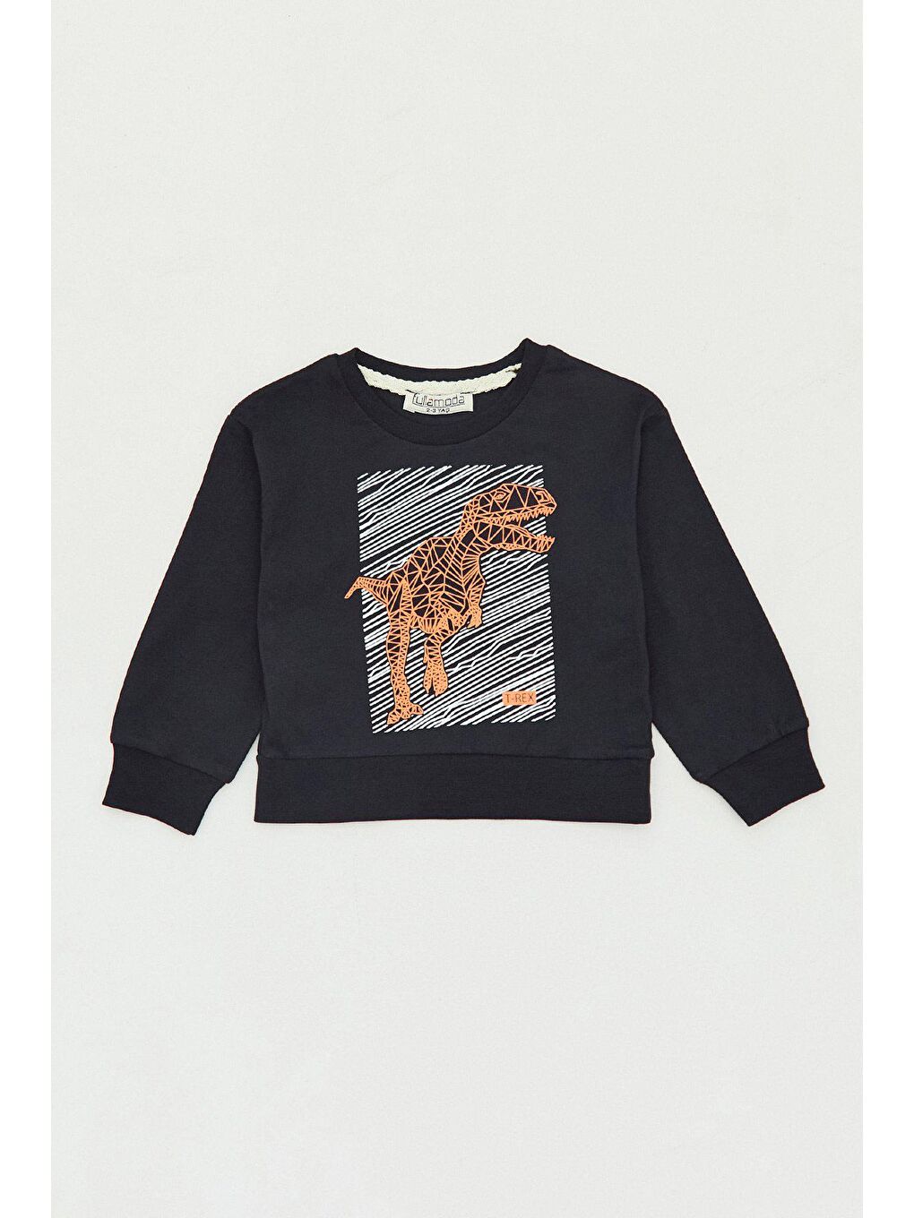 Siyah Dinozor Baskılı Bisiklet Yaka Erkek Çocuk Sweatshirt