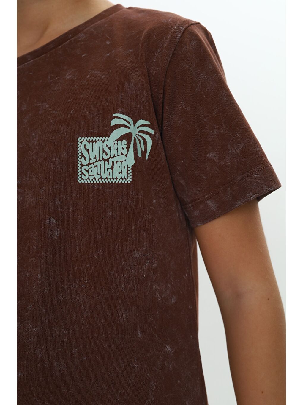 Kahverengi Erkek Çocuk Yıkamalı Göğsü Baskılı Tişört-1