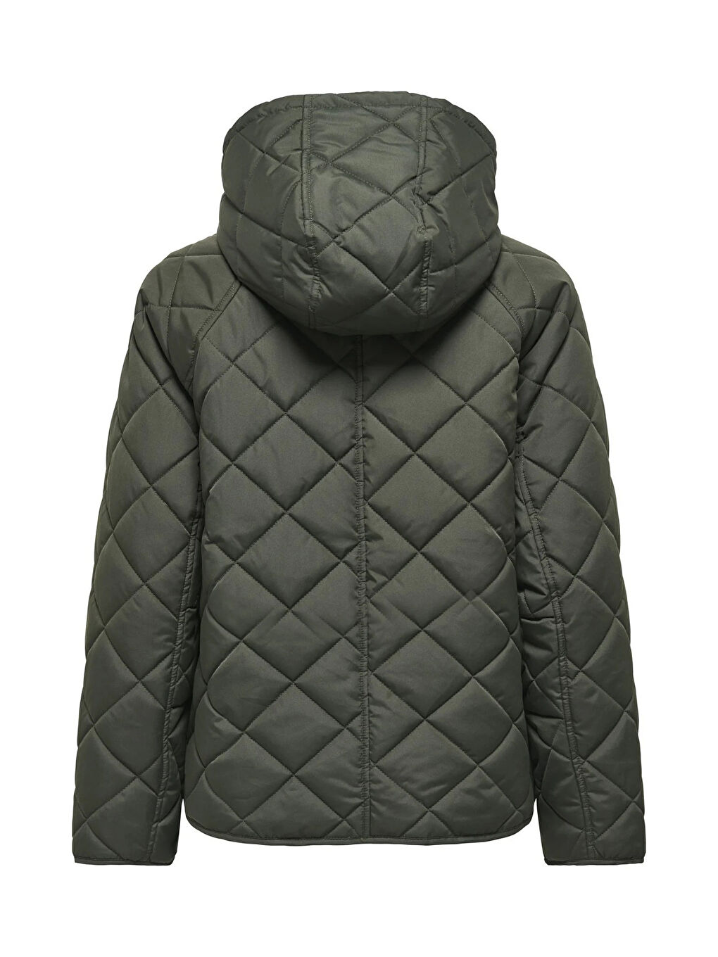 Haki Onlsigga Kapitoneli Regular Fit Kapüşon Yaka Kadın Ceket 15358867-1