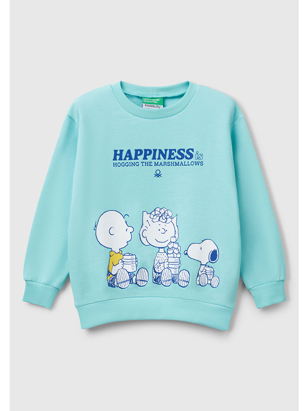 Turkuaz Erkek Çocuk Su Yeşili Peanuts Baskılı Logo Etiketli Bisiklet Yaka Sweatshirt