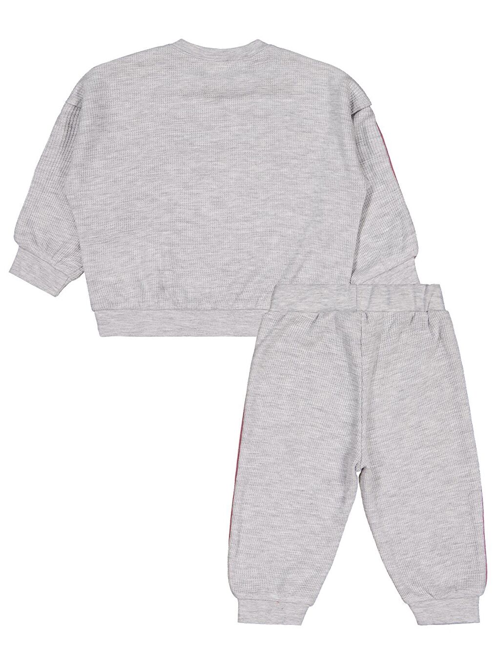 Baby Gırl Team Fiyonk 6-18 Ay Takım - Gri 6-9 Ay-2
