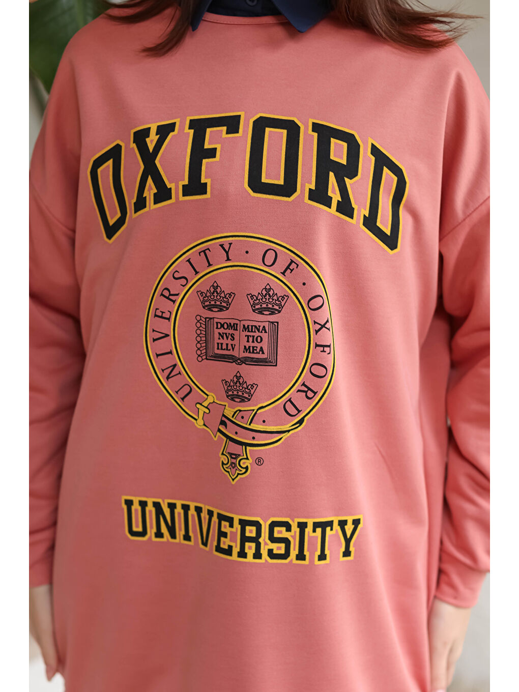 Pembe Baskılı Sweatshirt Gül - 13281-3