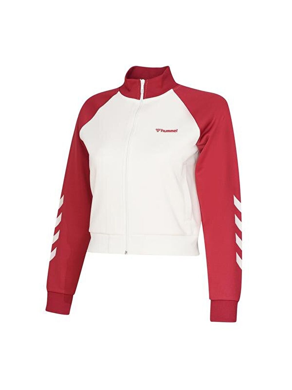 Karışık Genes Kadın Dik Yaka Ceket-1