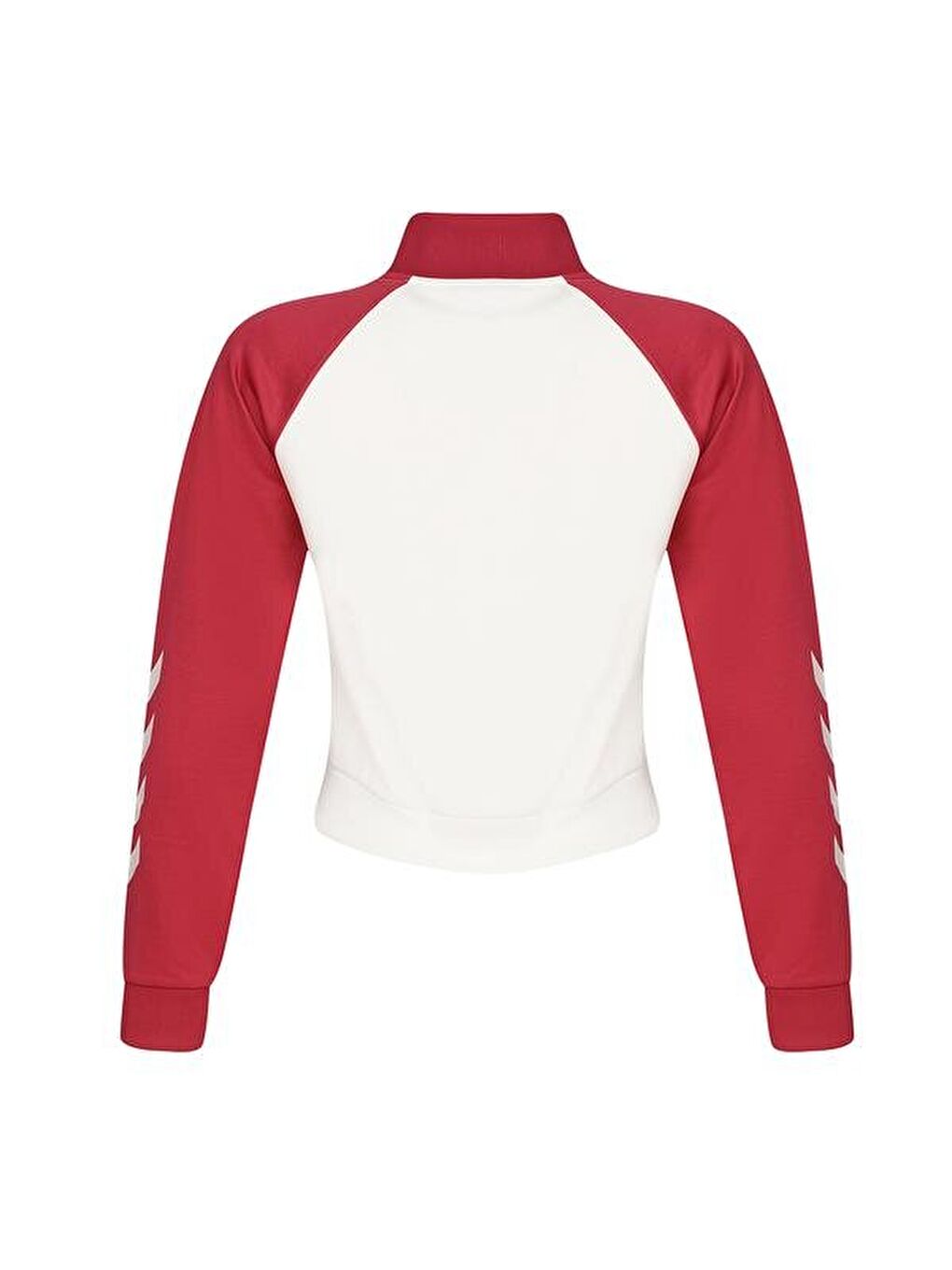 Karışık Genes Kadın Dik Yaka Ceket-2