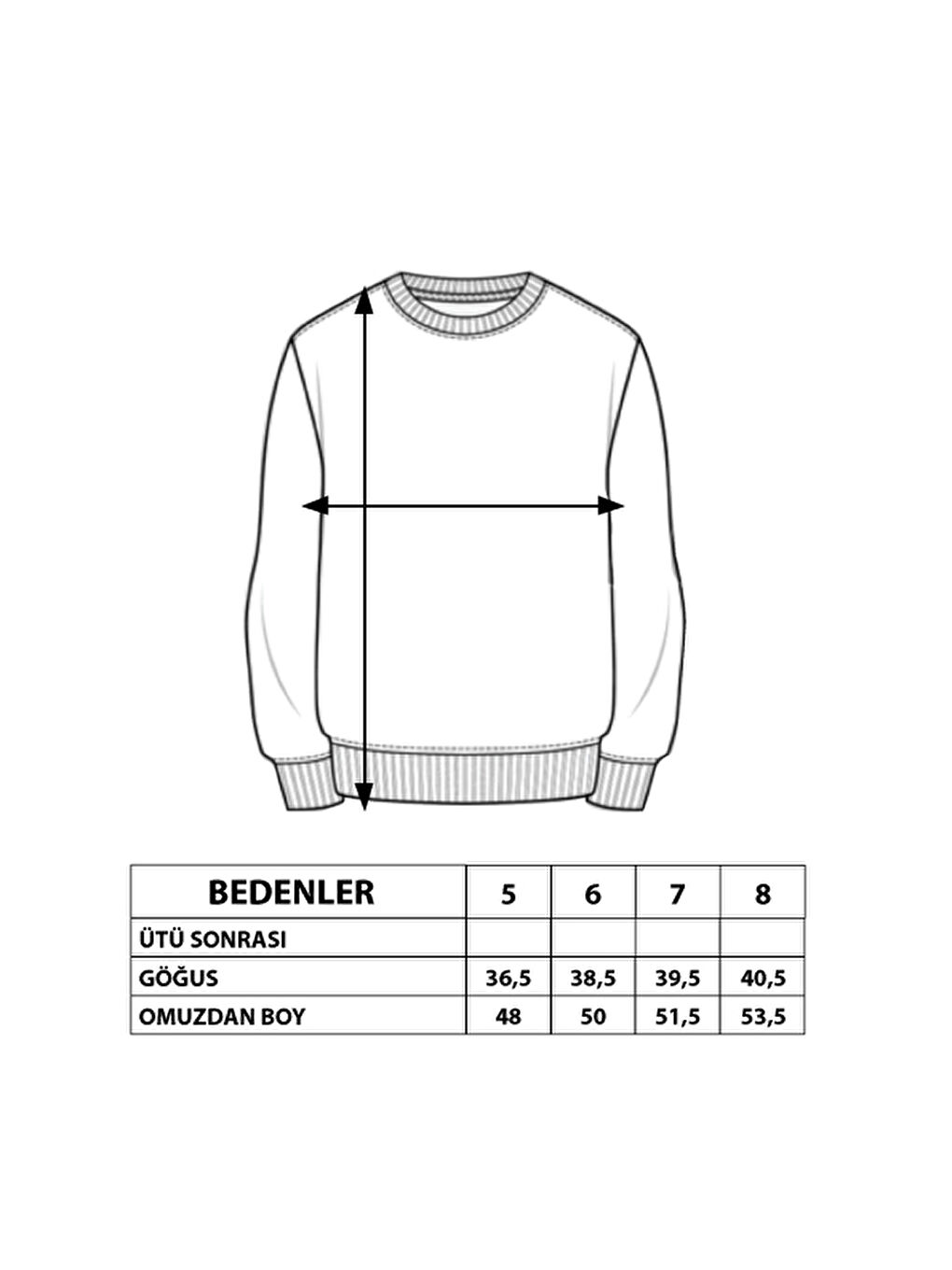 Gri Erkek Çocuk Premium Baskılı Sweatshirt-1