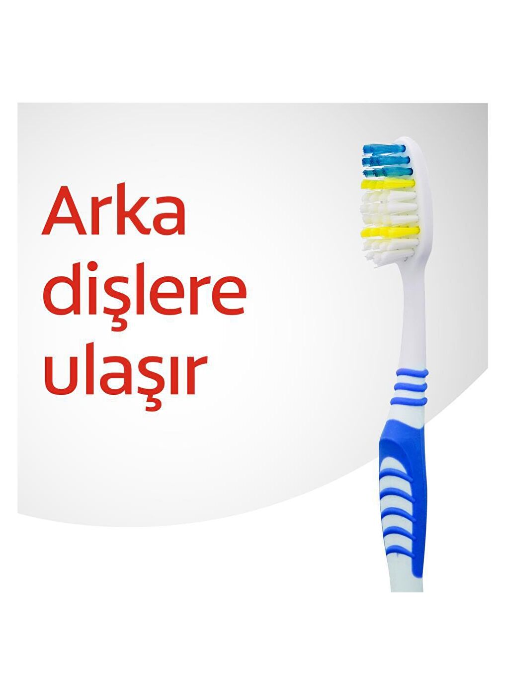 Colgate Karışık Extra Clean Orta Diş Fırçası 1+1 x 2 Adet + Diş Fırçası Kabı Hediye - 1