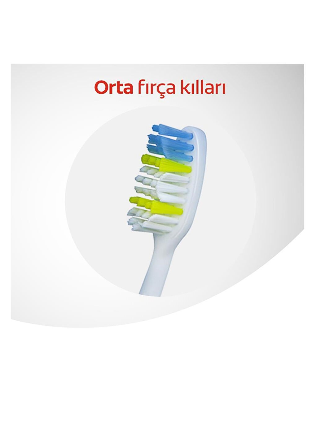 Colgate Karışık Extra Clean Orta Diş Fırçası 1+1 x 2 Adet + Diş Fırçası Kabı Hediye - 2