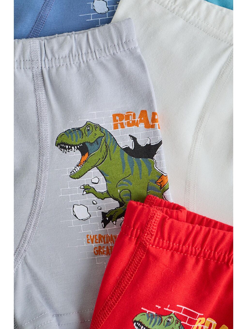 Karışık Erkek Çocuk 5 Li  Paket Dinozor Baskılı Çok Renkli-1