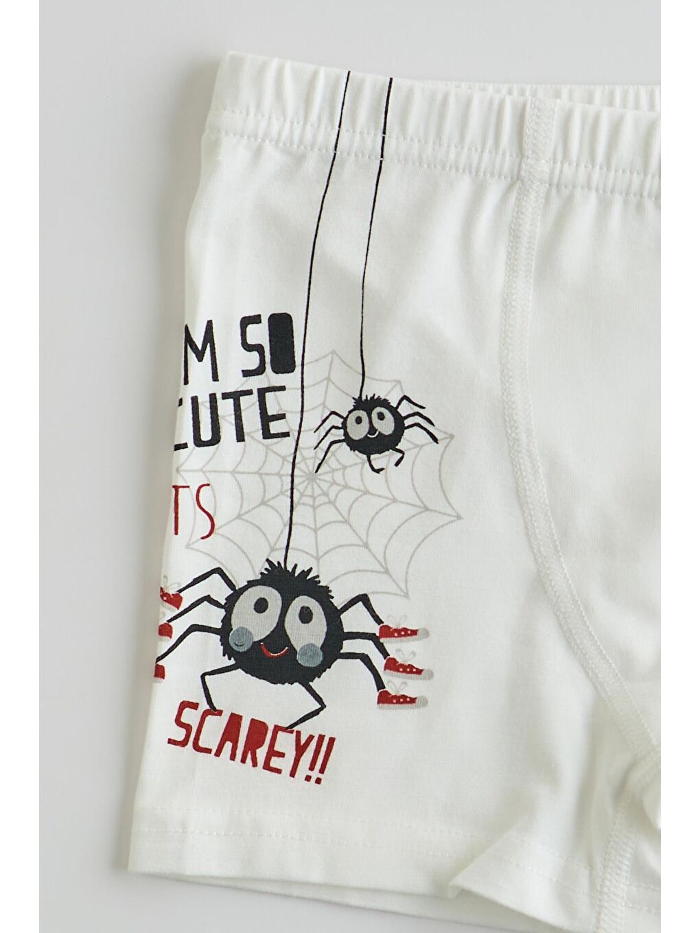 Karışık Erkek Çocuk 5 Li  Paket Örümcek Baskılı Boxer Çok Renkli-4