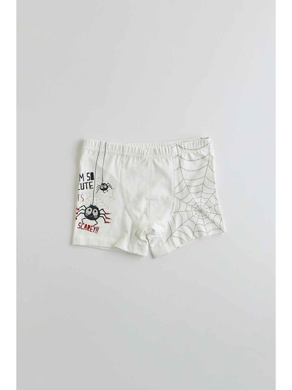 Karışık Erkek Çocuk 5 Li  Paket Örümcek Baskılı Boxer Çok Renkli-5