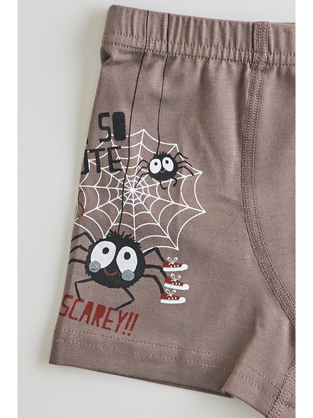 Karışık Erkek Çocuk 5 Li  Paket Örümcek Baskılı Boxer Çok Renkli-6