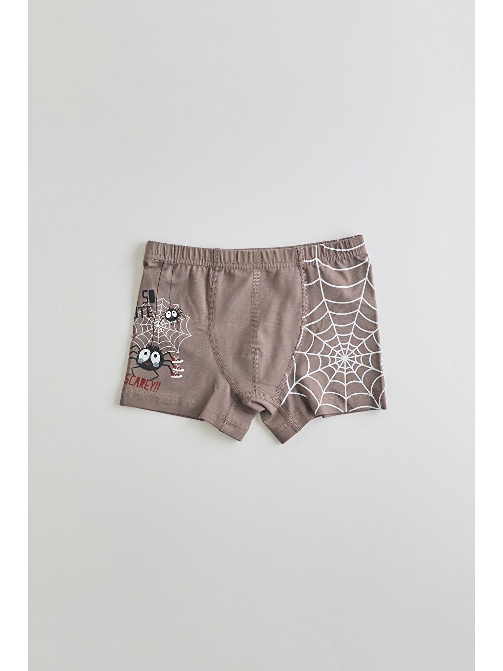 Karışık Erkek Çocuk 5 Li  Paket Örümcek Baskılı Boxer Çok Renkli-7