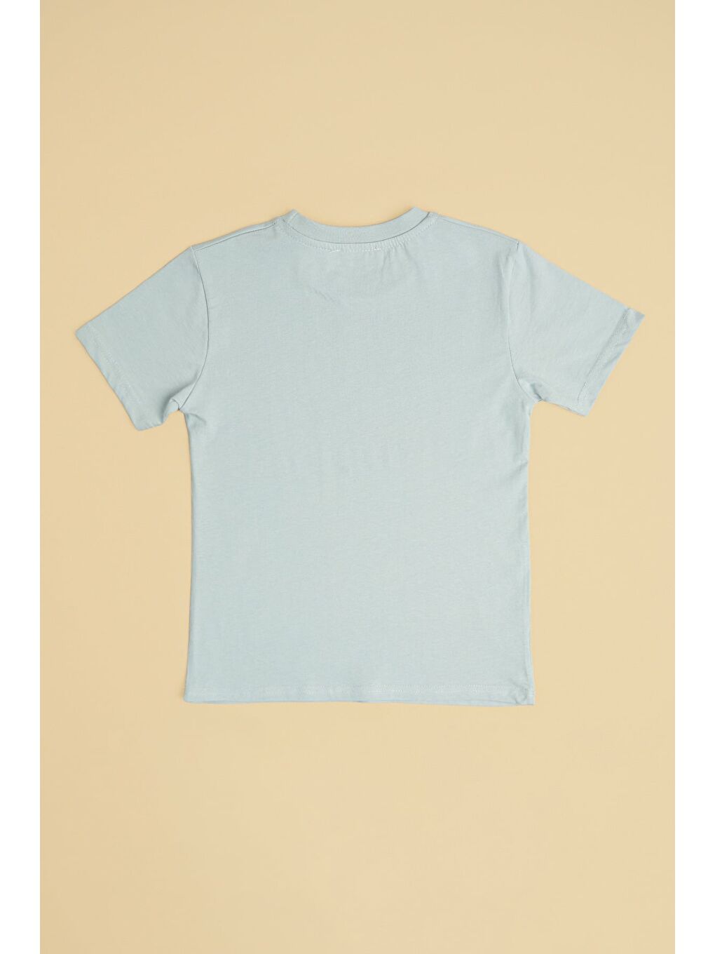 Gri Skaters Need Space Baskılı Erkek Çocuk Tişört-1