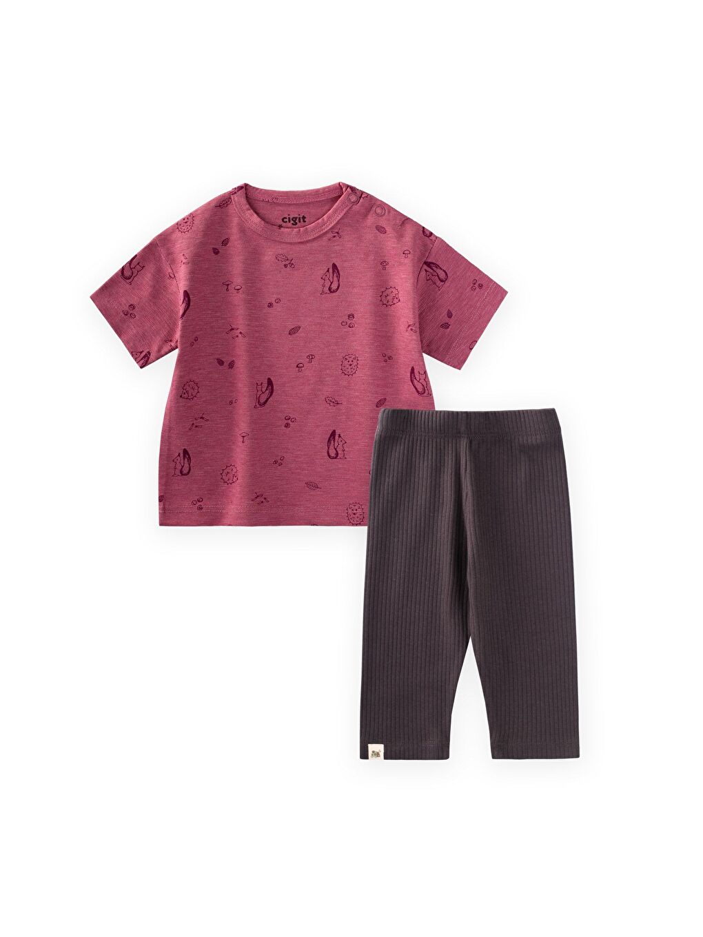 Taytlı T-Shirt Takım 0-3 Yaş Mürdüm