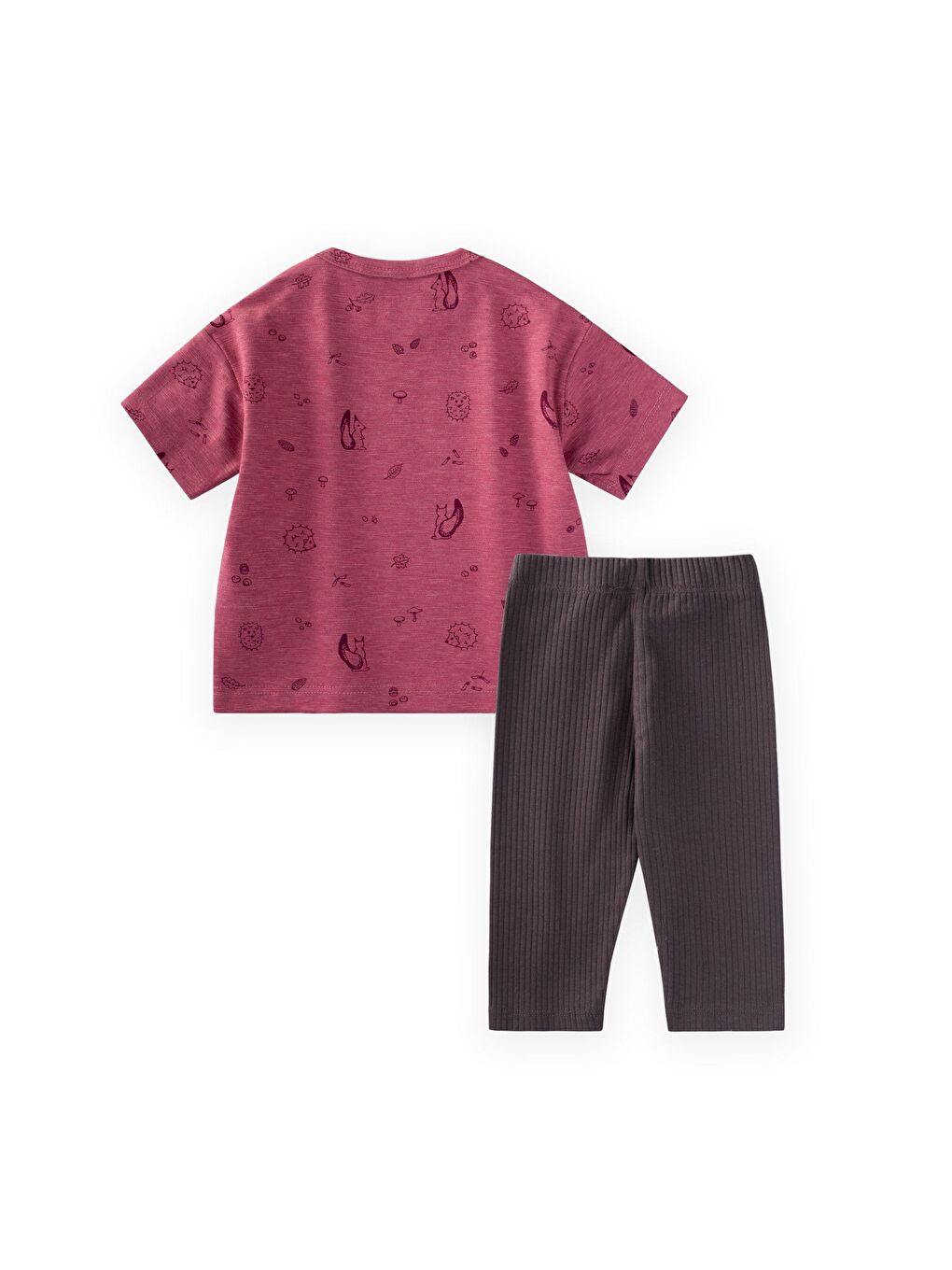 Taytlı T-Shirt Takım 0-3 Yaş Mürdüm-1