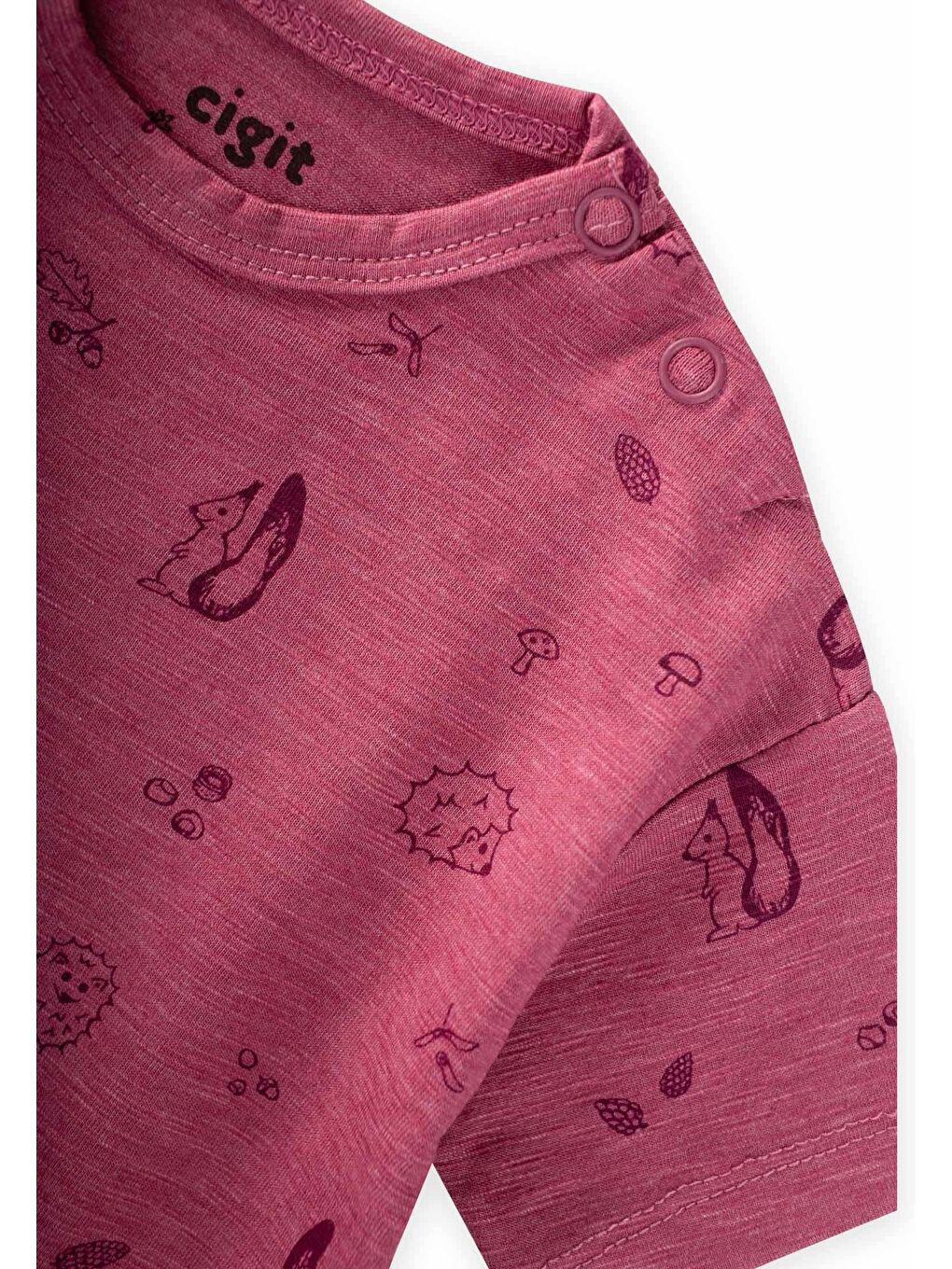 Taytlı T-Shirt Takım 0-3 Yaş Mürdüm-2