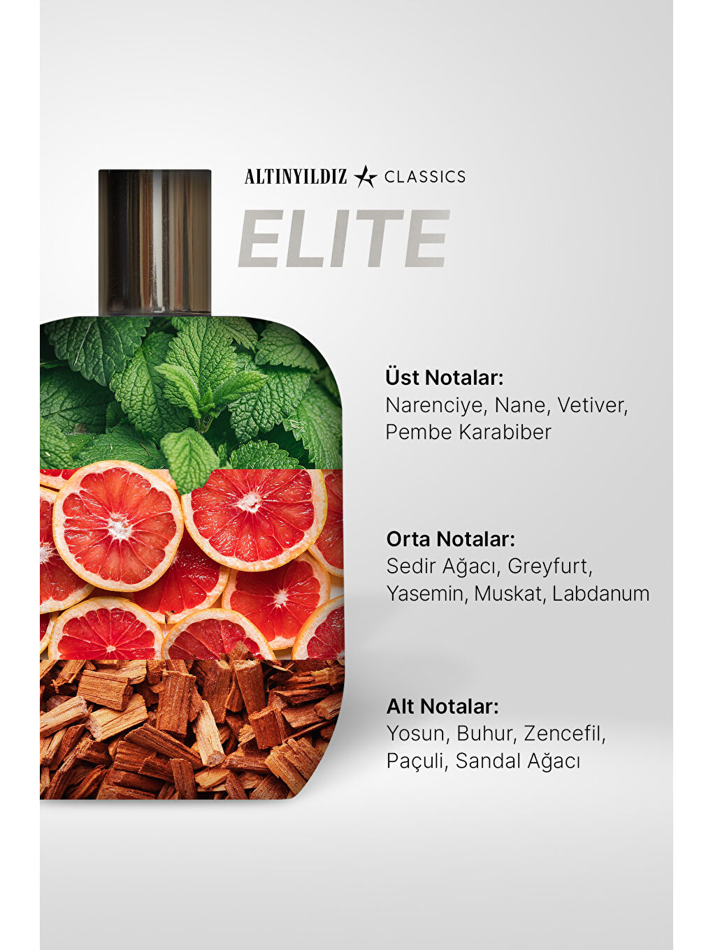 Erkek Vizon AC Elite EDP Parfüm 100 ML-2