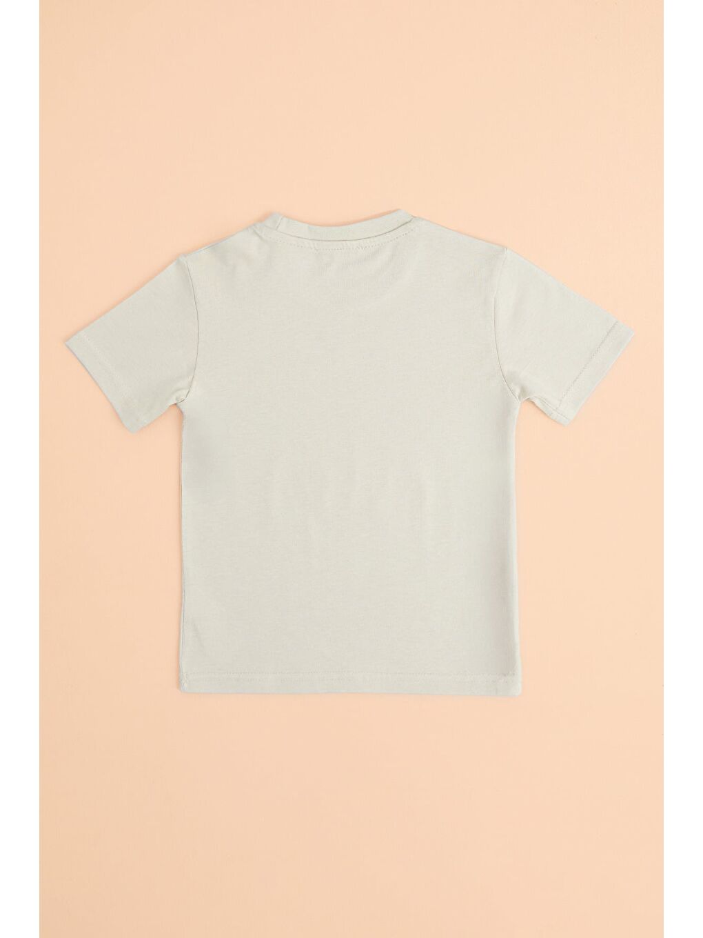 Bej Köpek Balığı Baskılı Erkek Çocuk Tişört-1