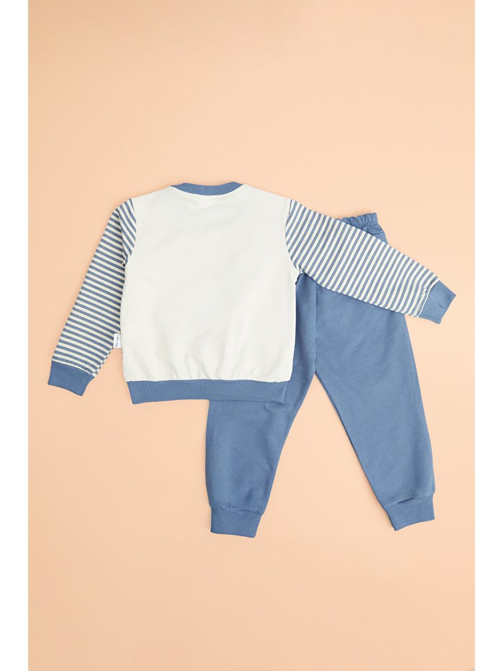 Mavi Ayıcık Baskılı Çizgili Erkek Çocuk 2 Li Takım-1