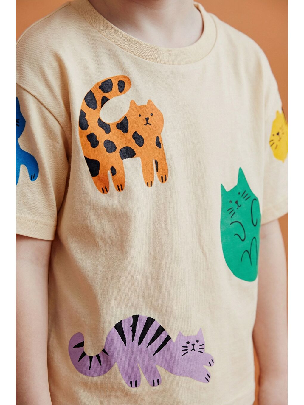 Karışık Unisex Çocuk Pamuklu Ekru Hayvan Figürlü Takım - Kısa Kollu T-Shirt Ve Çizgili Eşofmanlı Set-2