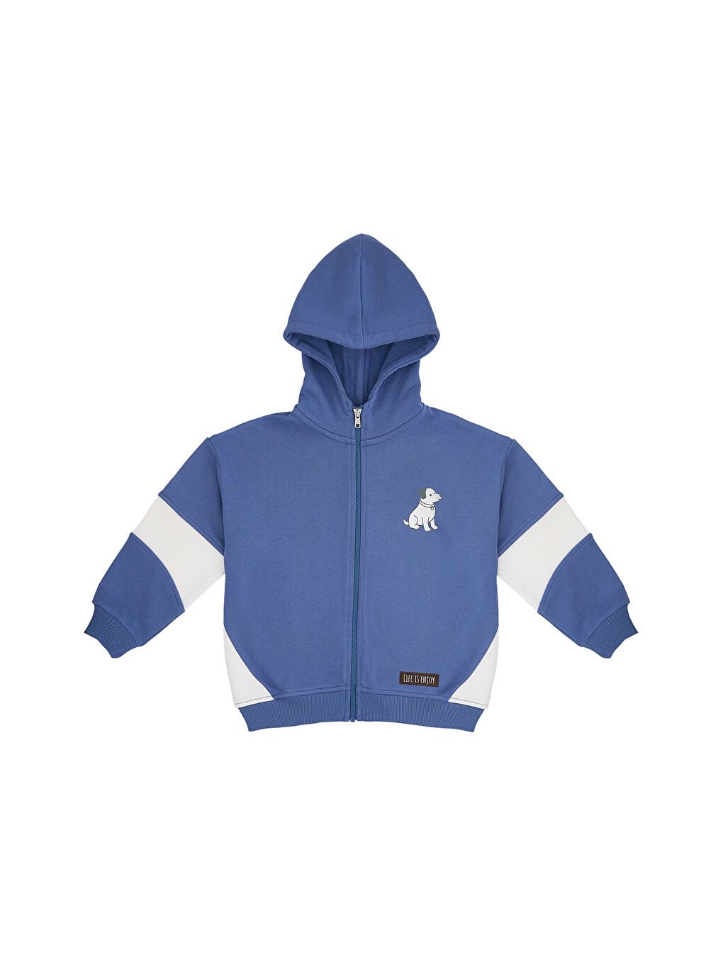Köpek Nakışlı Sweatshirt 2-6 Yaş Mavi-2