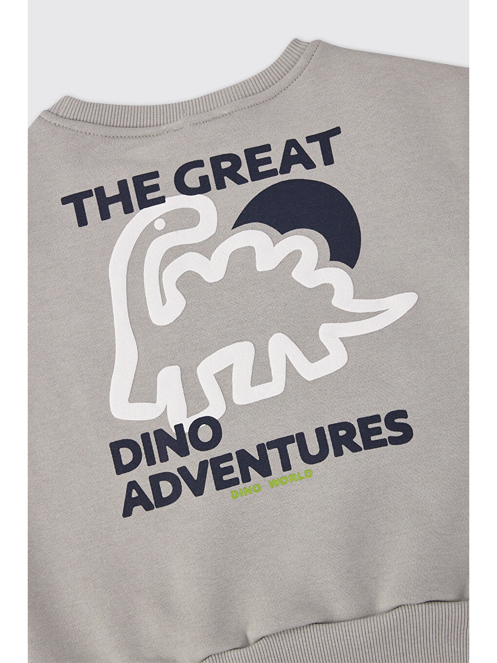 Erkek Bebek Gri Sweatshirt-2