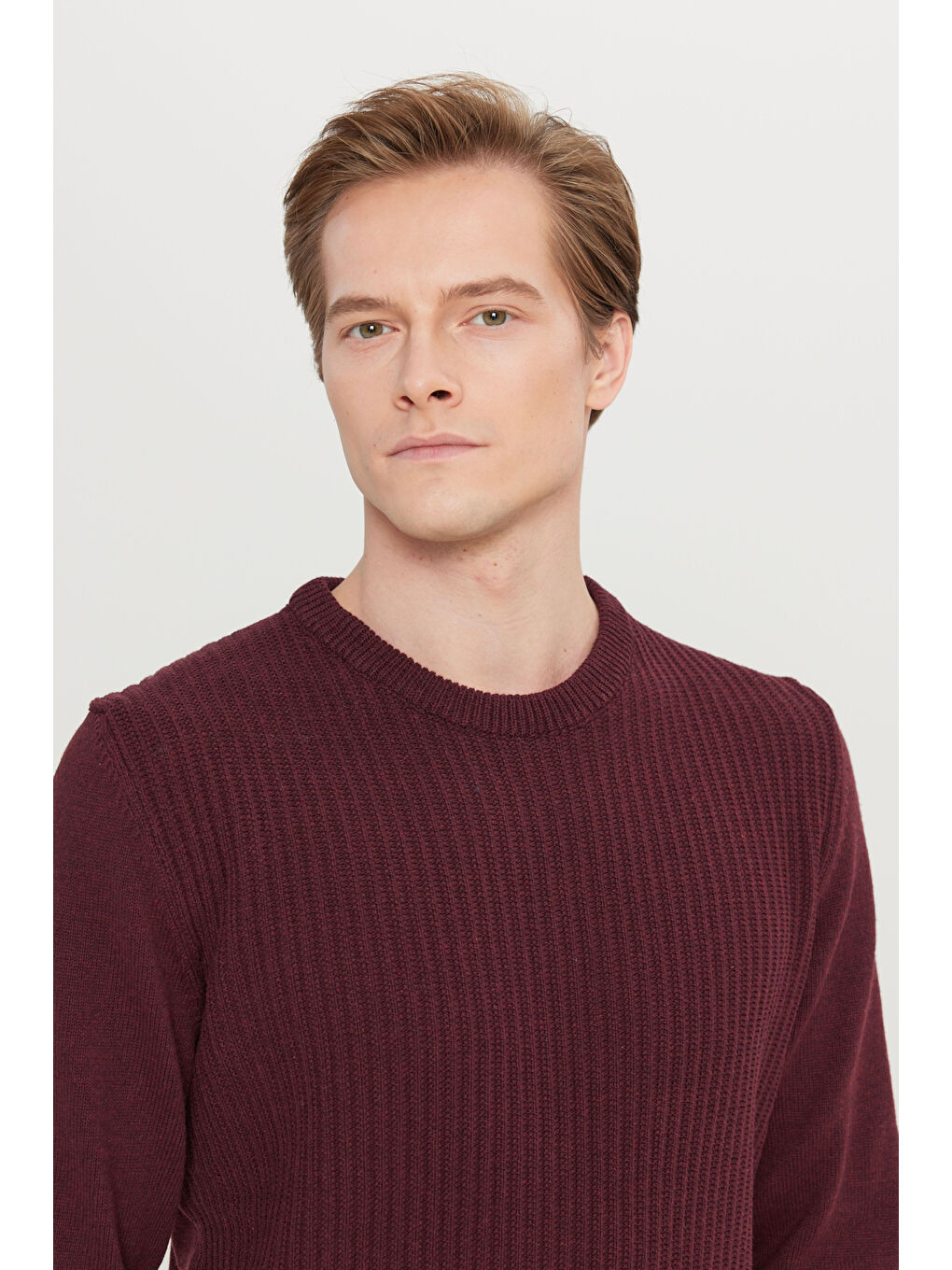 Erkek Bordo Pamuklu Standart Fit Normal Kesim Bisiklet Yaka Jakarlı Triko Kazak-3