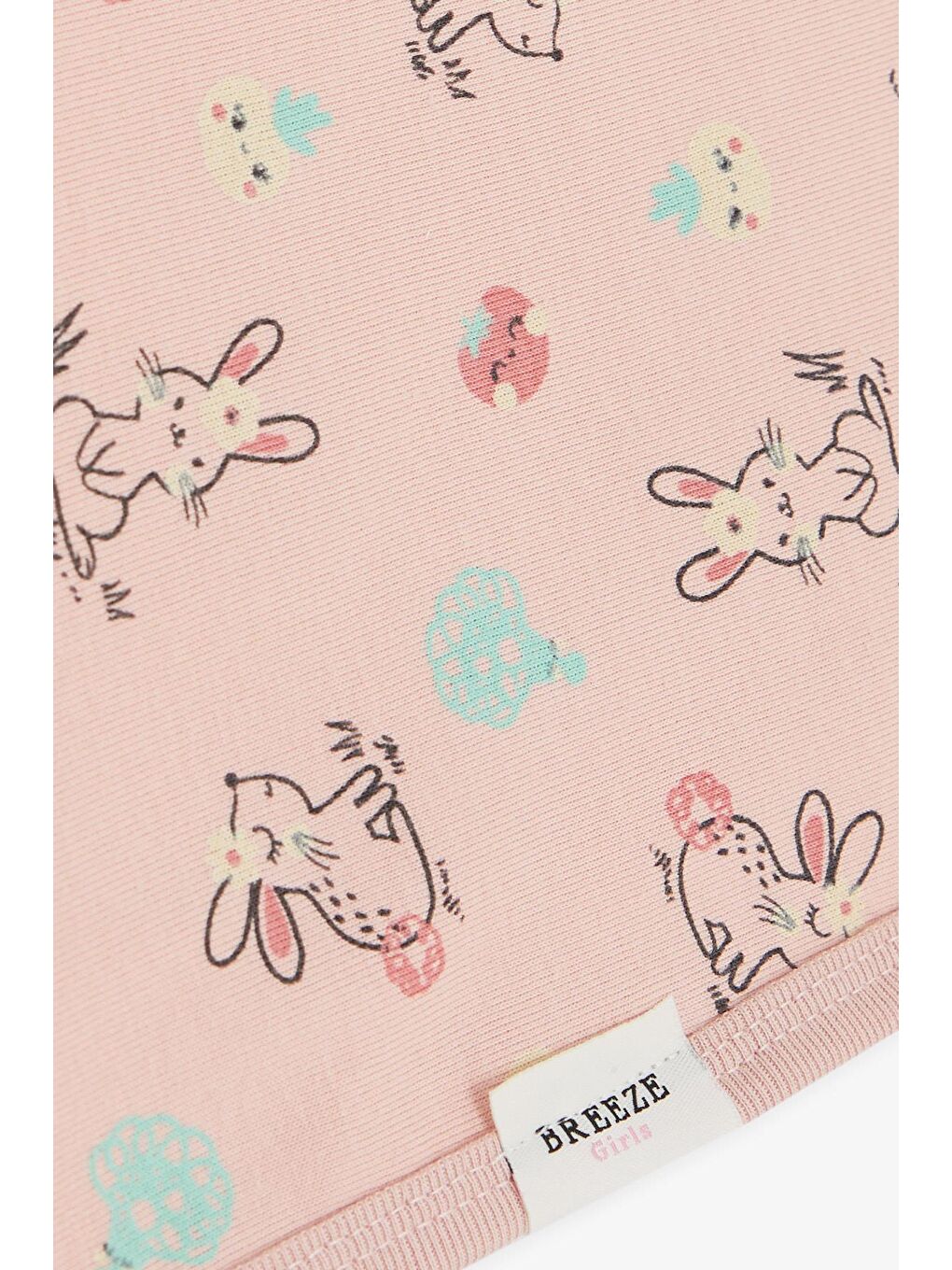 Pembe Yenidoğan Bebek Battaniyesi Bahar Temalı Tavşancık Desenli Somon (75 X 85 Cm)-2