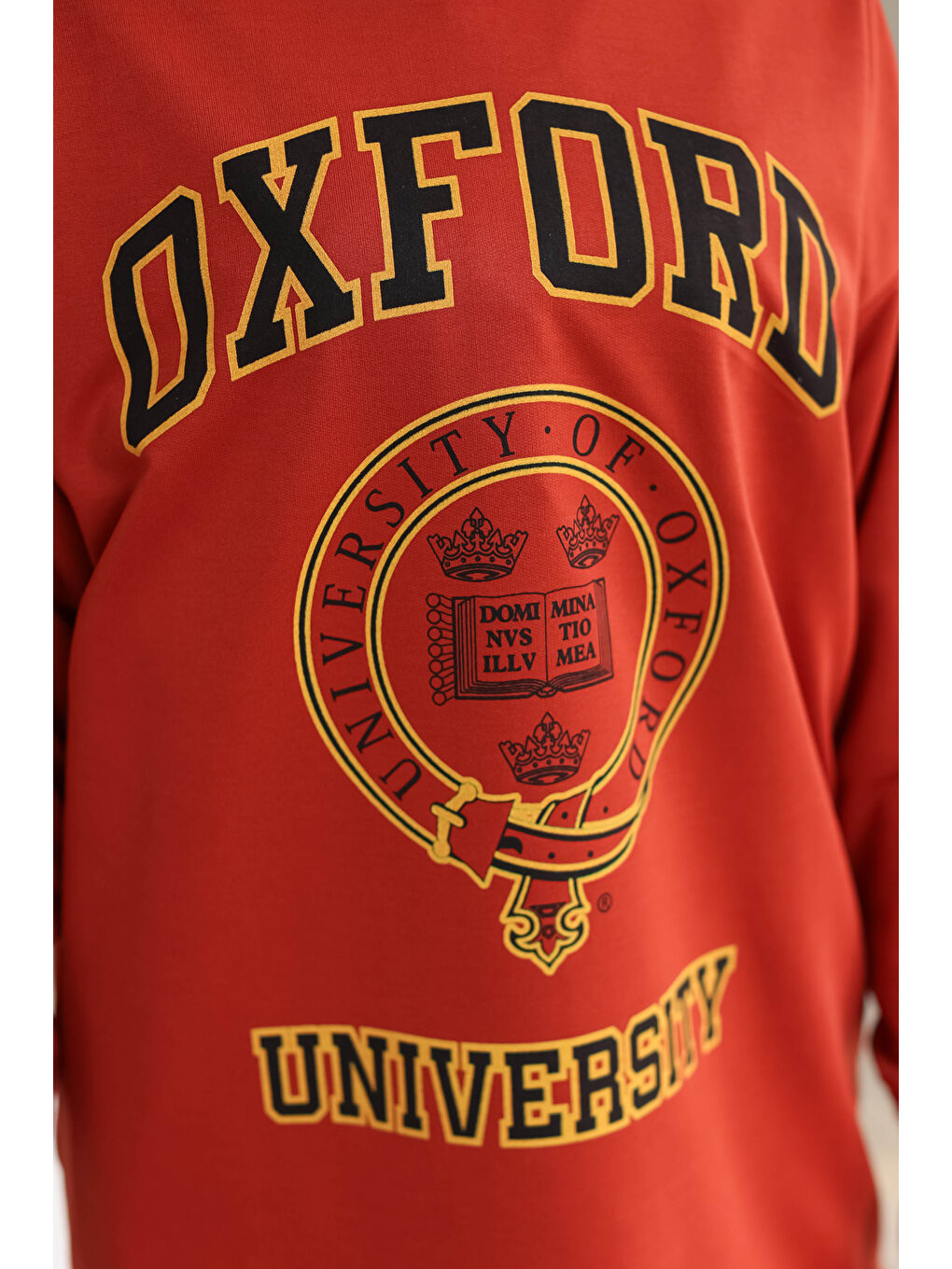 Kahverengi Baskılı Sweatshirt Kiremit - 13281-3