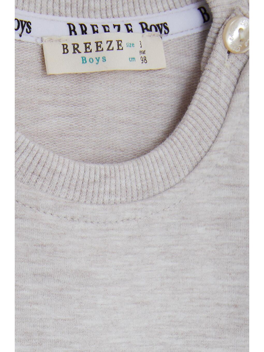 Breeze Açık Bej Erkek Bebek Sweatshirt Ressam Ayıcık Baskılı Bej Melanj (1.5 Yaş) - 2