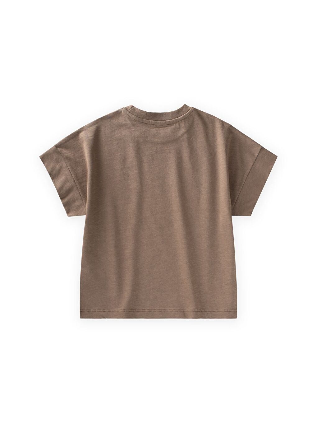 Bej T-Shirt 2-12 Yaş Vizon-1