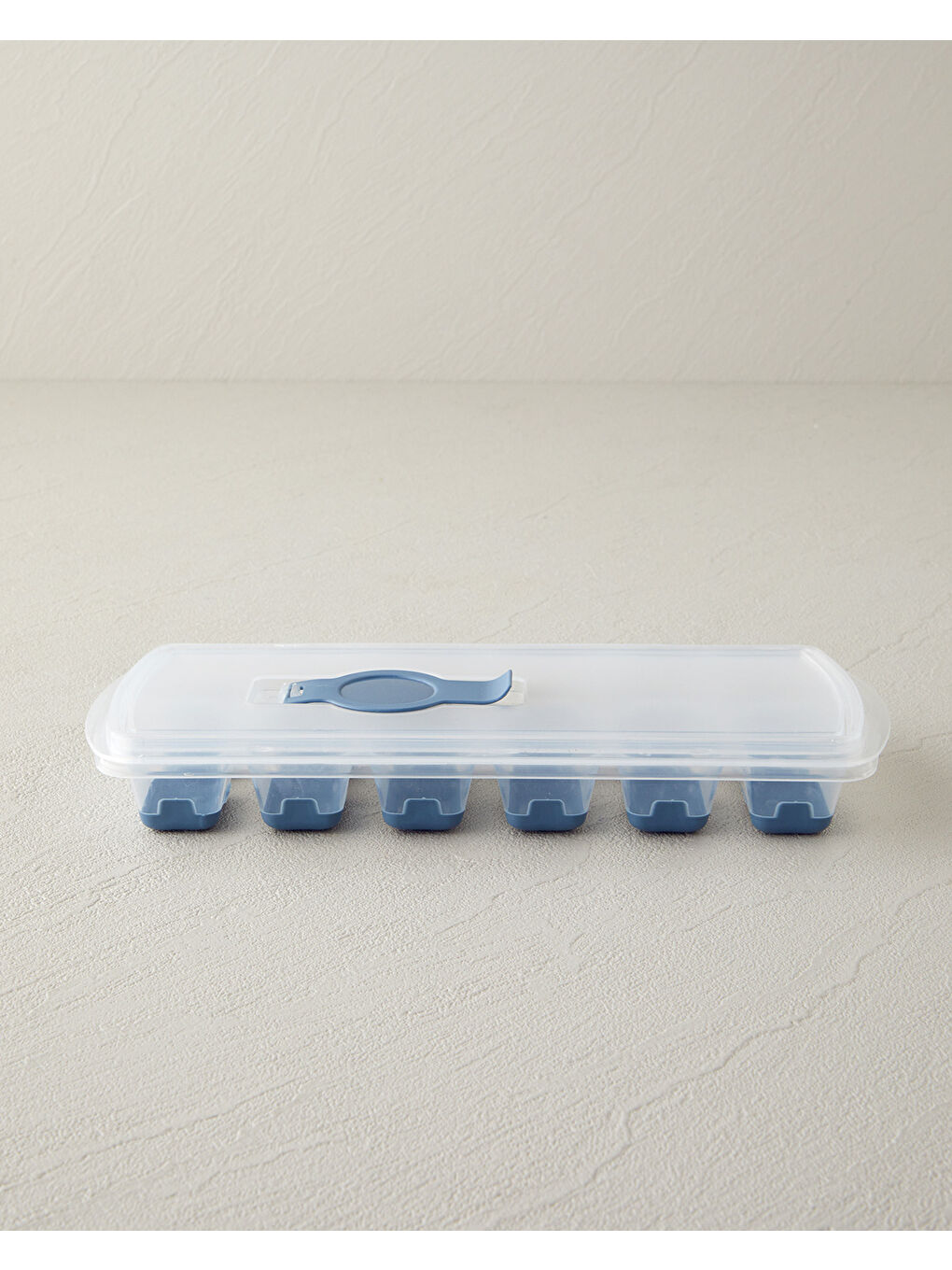 English Home Virginie Plastik Buz Kalıbı 24x10 cm Mavi